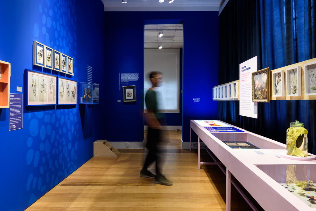 Mostra Darwin, Museu do Jardim Botânico, Rio de Janeiro