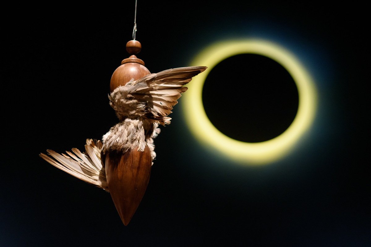 Mostra Nise, CCBB RJ, Rio de Janeiro