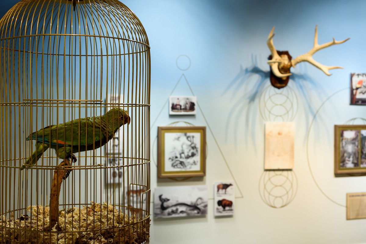 Mostra Darwin, Espaço Santander, Porto Alegre