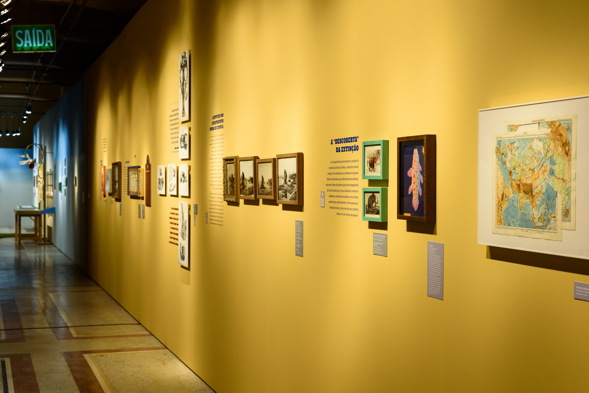 Mostra Darwin, Espaço Santander, Porto Alegre