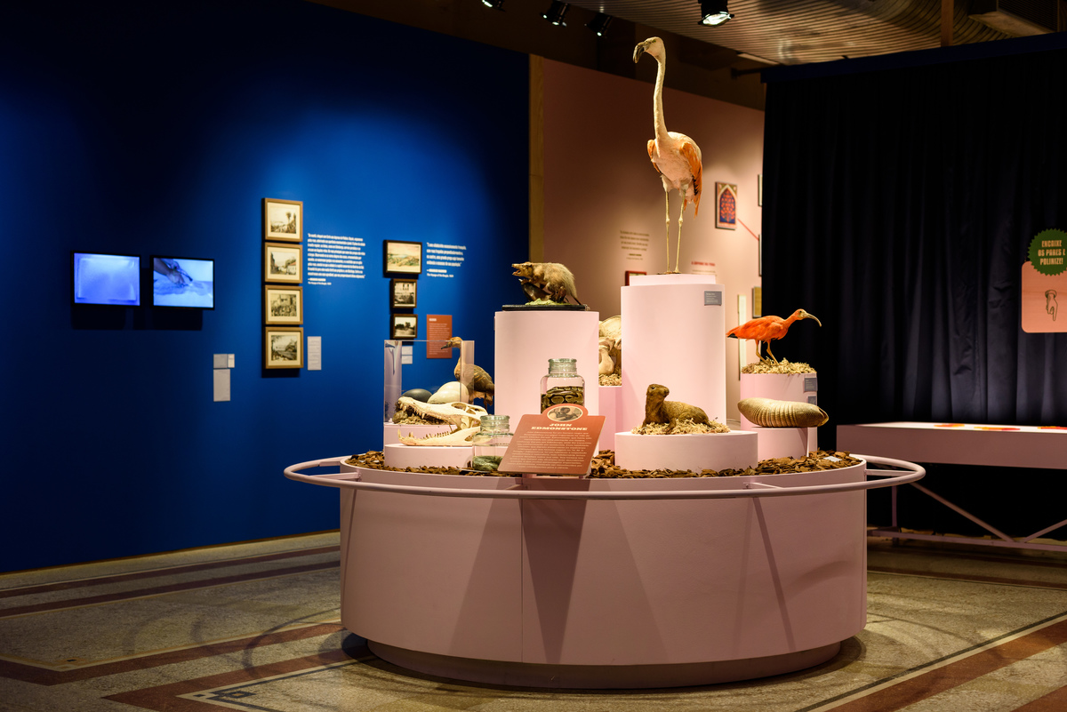 Mostra Darwin, Espaço Santander, Porto Alegre