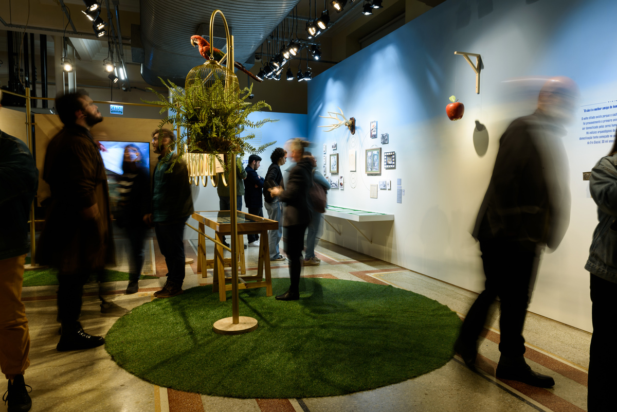 Mostra Darwin, Espaço Santander, Porto Alegre