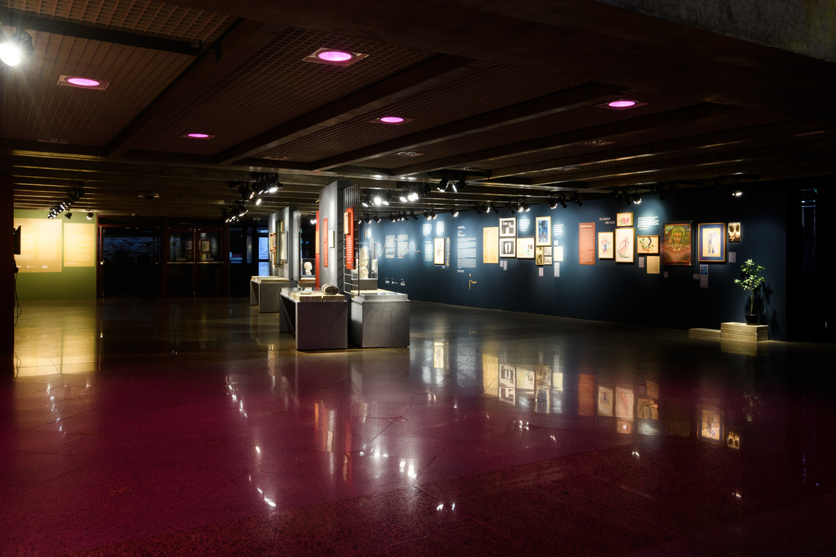 Mostra Nise, Sesc Bauru, Bauru, SP