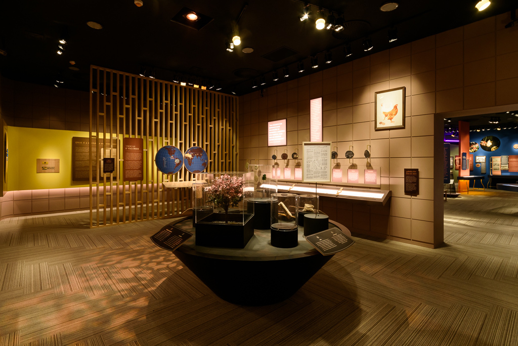 Do Sal ao Digital, CCBB RJ, Rio de Janeiro