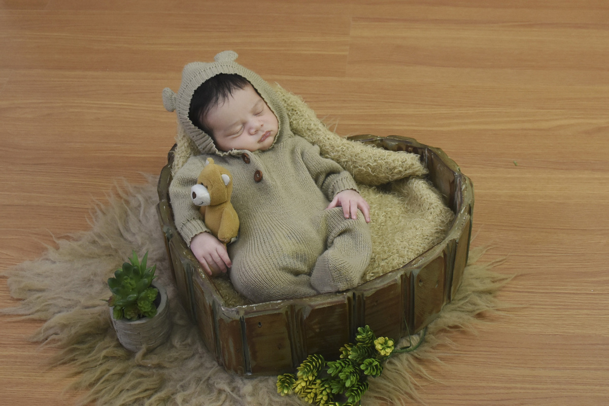 Pedro  no coração de madeira