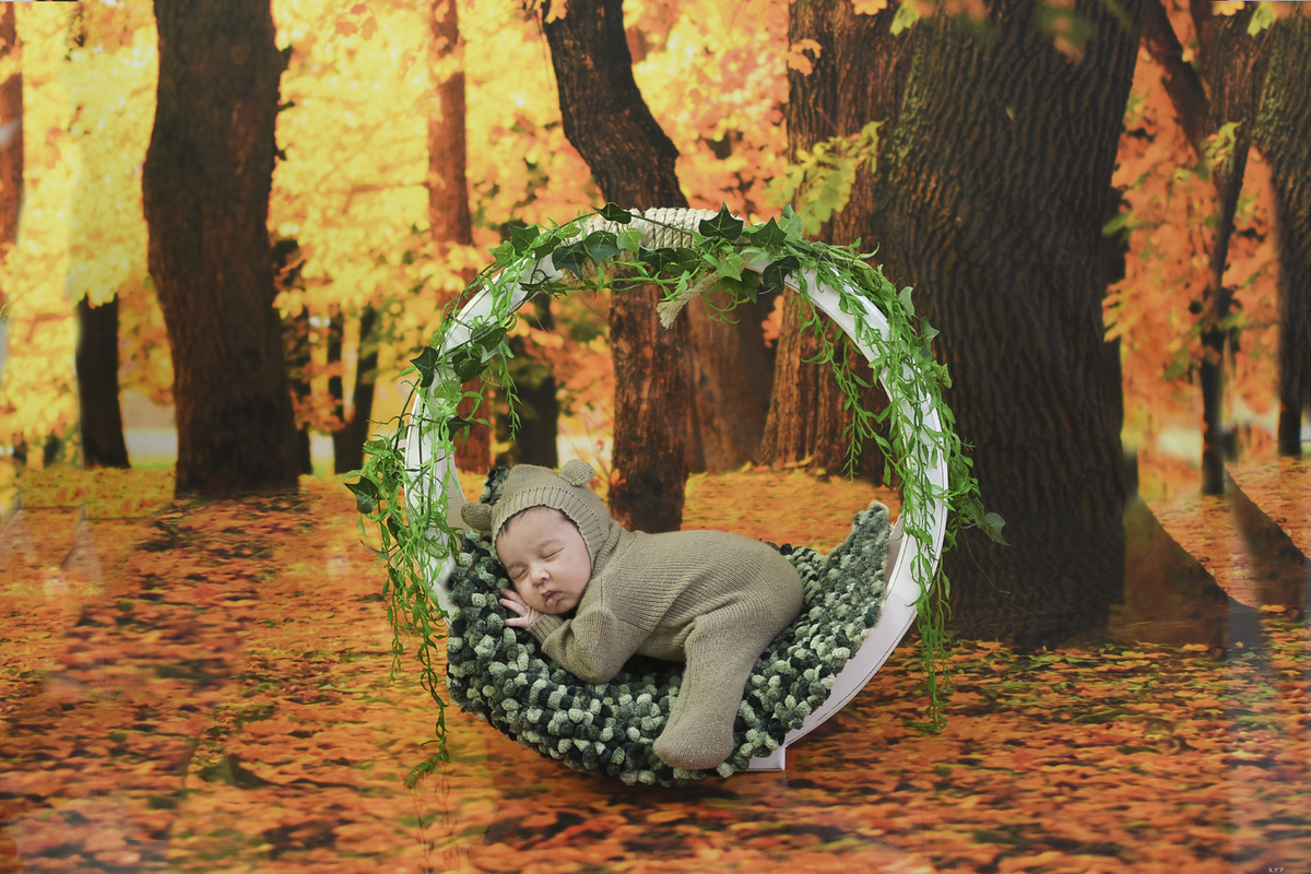 Théo arco na floresta