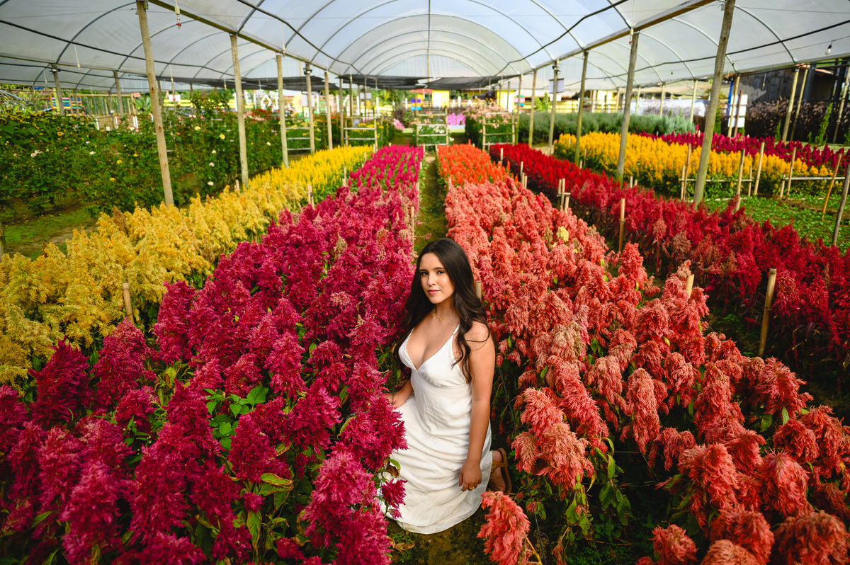 FOTOGRAFO DE 15 ANOS