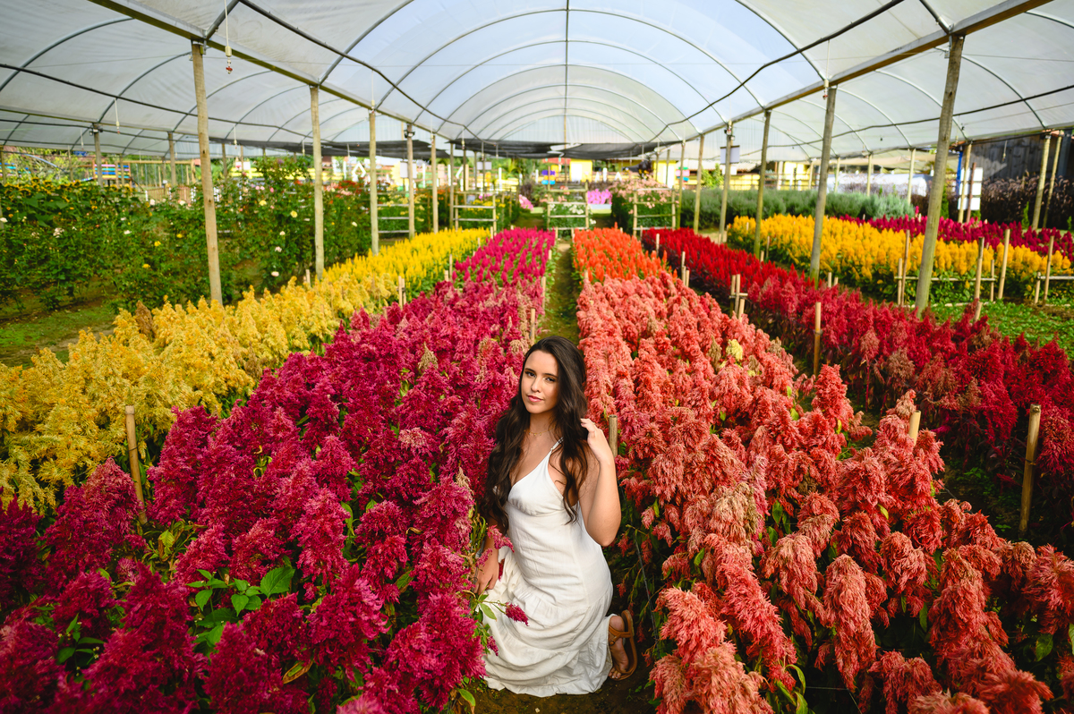 FOTOGRAFIA DE 15 ANOS