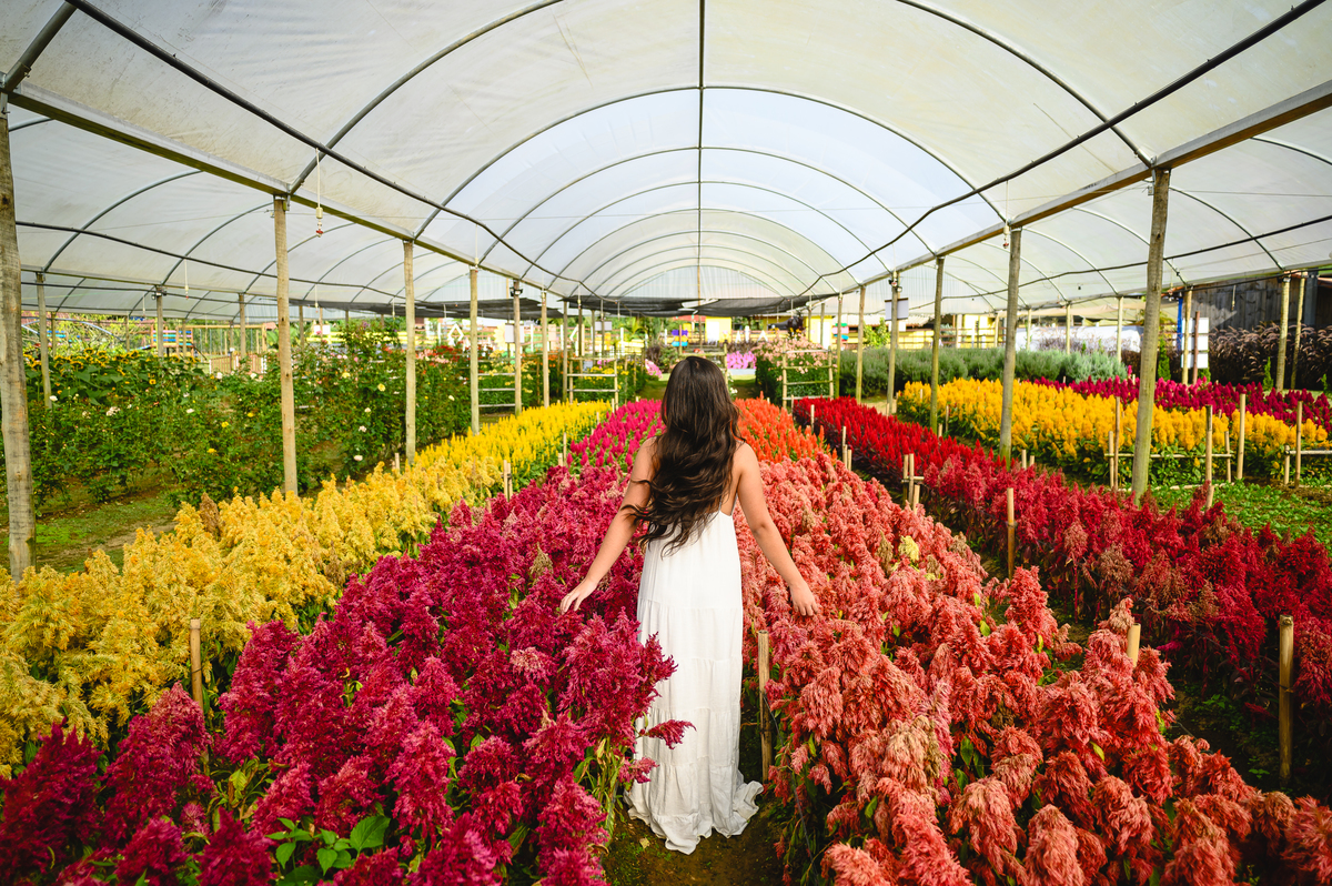 ENSAIO EM NOVA FRIBURGO