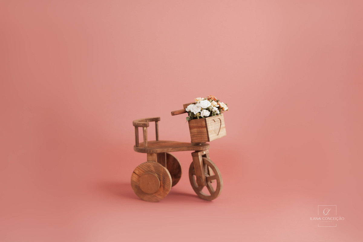 Uma bicicleta, rosas e Maria Luísa!

Quem tem uma princesa dessa não precisa de cenário. 