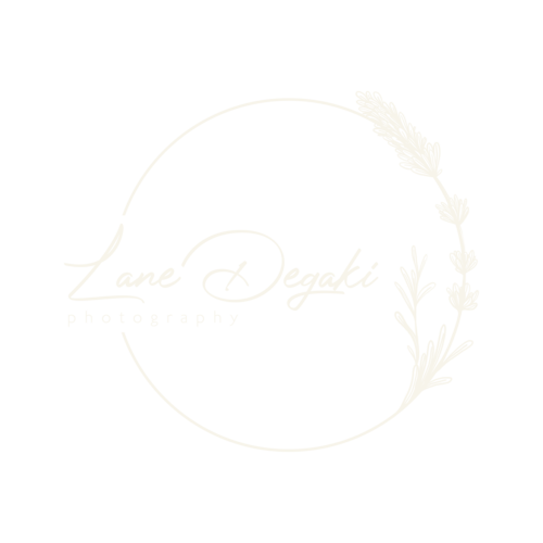 Logotipo de Everlane Degaki