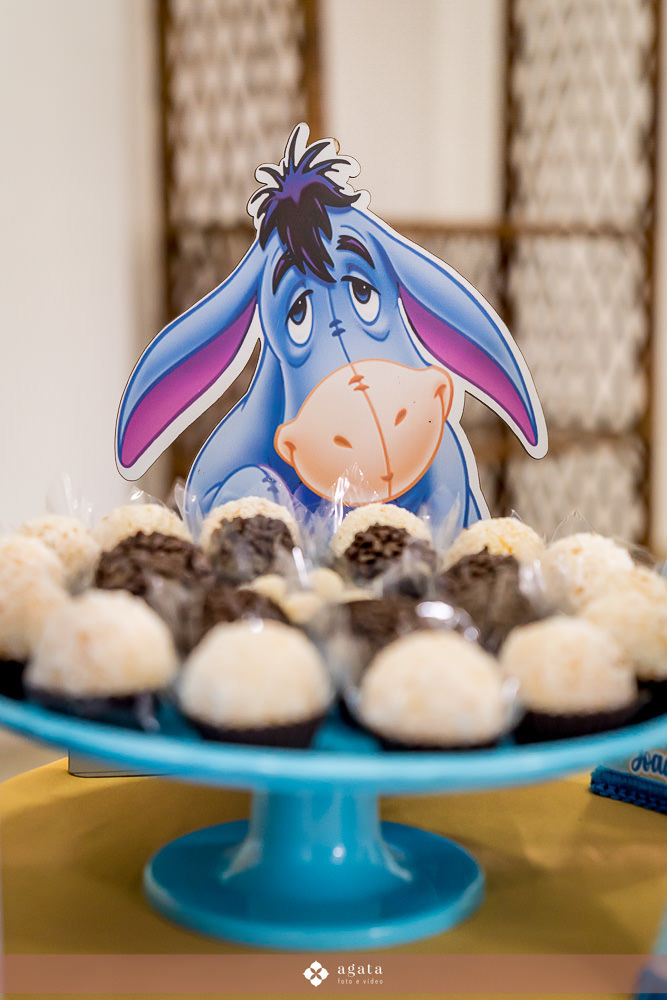 aniversario infalntil-forografo aniversario-aniversario curitiba-ursinho pooh-aniversario de 1 ano-aniversario fofinho-aniversario-criança-fotografia infantil-aniversario em casa