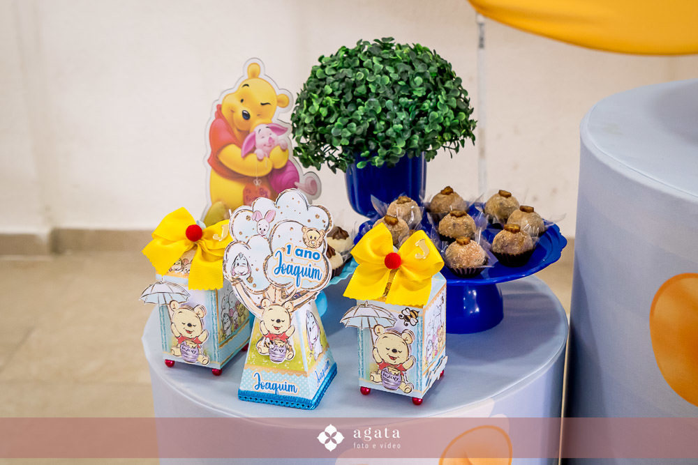 aniversario infalntil-forografo aniversario-aniversario curitiba-ursinho pooh-aniversario de 1 ano-aniversario fofinho-aniversario-criança-fotografia infantil-aniversario em casa