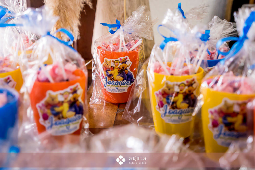 aniversario infalntil-forografo aniversario-aniversario curitiba-ursinho pooh-aniversario de 1 ano-aniversario fofinho-aniversario-criança-fotografia infantil-aniversario em casa