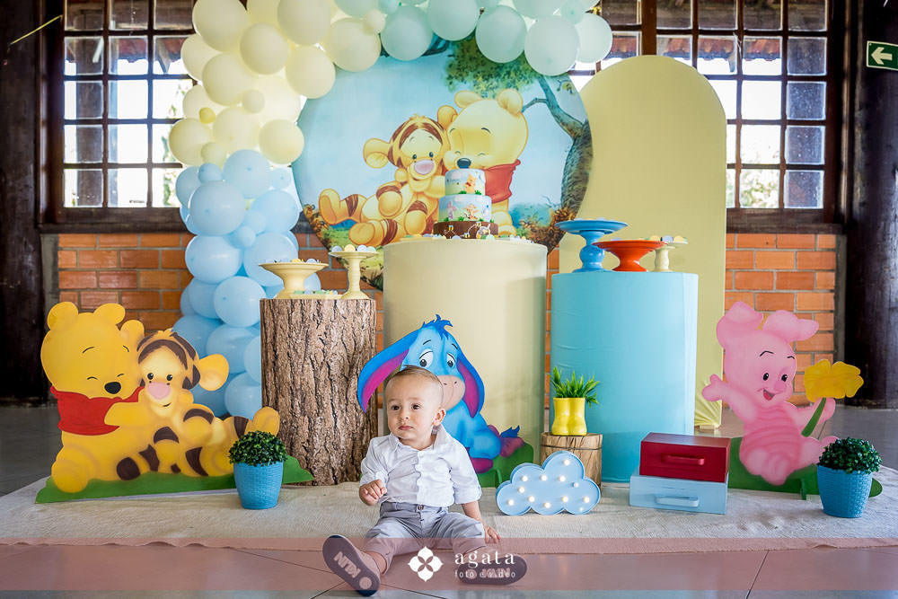 aniversario infaltil-aniversariode1ano-fotografo de aniversario-fotografo em curitiba-aniversario urso pooh-aniversario de 1 aninho-ursinho pooh-festa infantil 