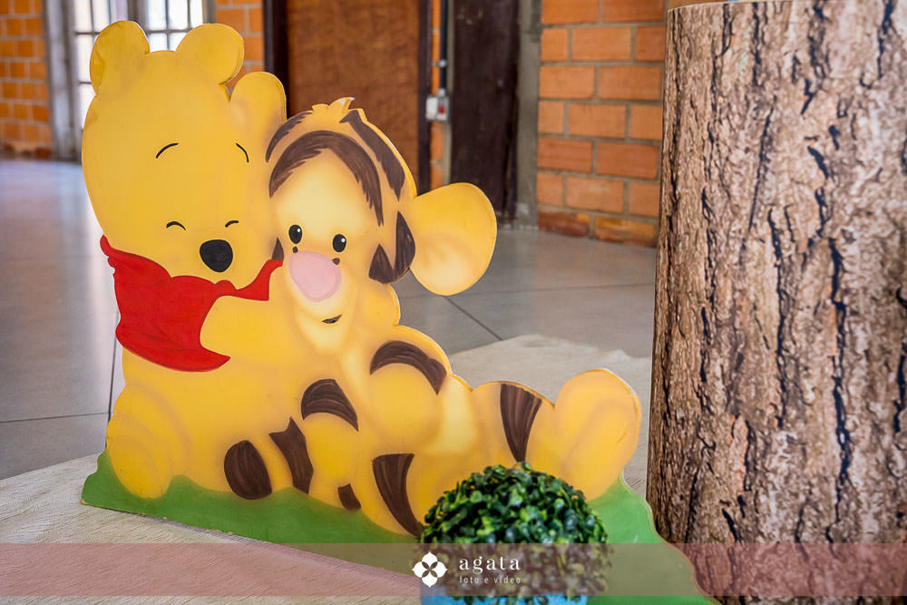 aniversario infaltil-aniversariode1ano-fotografo de aniversario-fotografo em curitiba-aniversario urso pooh-aniversario de 1 aninho-ursinho pooh-festa infantil 