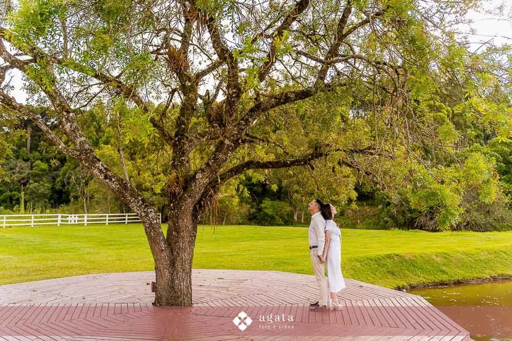 ensaio pre wedding-ensaio pre casamento-ensaio fotografico-ensaio no campo-fotografo curitiba-fotografo de casamento-ensaio pre casamento curitiba-sentile do embuial-fotografo criativo-vestido de noiva-ensaio no campo curitiba-noivos-noivado-bride