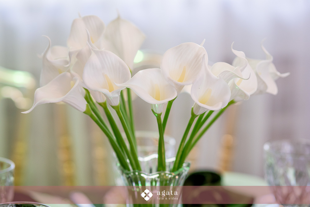 casamento curitiba-fotografo de casamento-fotografo curitiba-casamento na igreja-casamento 2027-vestido de noiva-casamento catolico-casamento com festa-fotografo de casamento curitiba-fotografo-wedding-matrimonio-casamento na igreja-festa