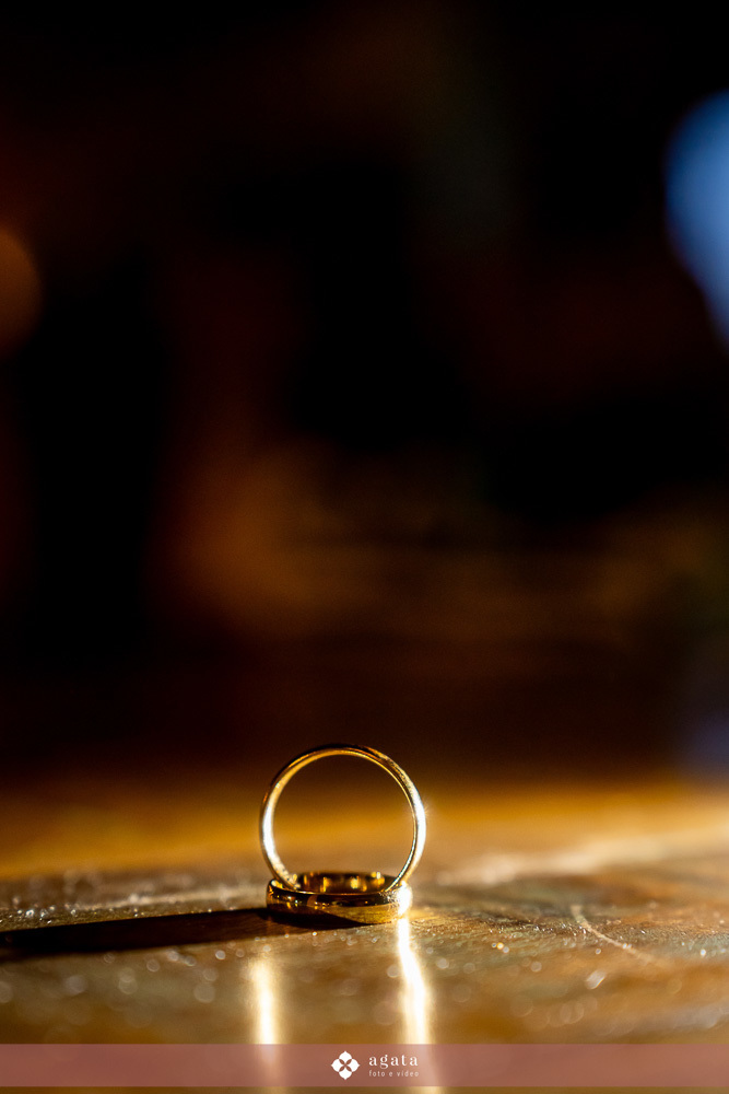 casamento curitiba-fotografo de casamento curitiba-casamento ao ar livre-noiva-vestido de noiva-casamento 2027-noiva de cabelo solto-casamento no jardim-ensaio casal externo-wedding-casamento 2026-casamento 2027-casamento do ano-madrinhas de casamento-wed