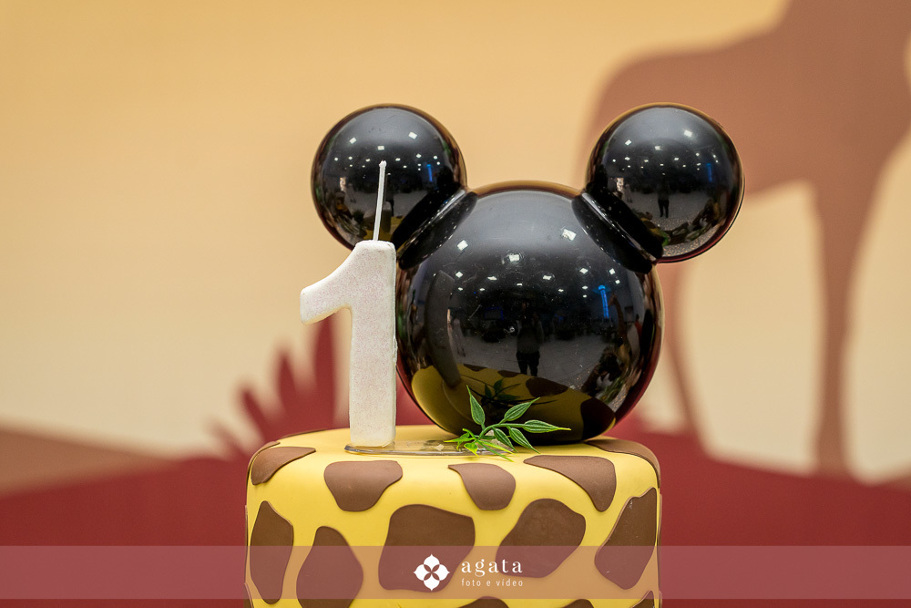 aniversaio de um ano-fotografo de familias-fotografo curitiba-aniversario safari-um aninho-festa safari-decoracao safari-festa de um ano menino-festa infantil-aniversario de crianca-aniversario infantil safari-festa no safari-um aninho festa