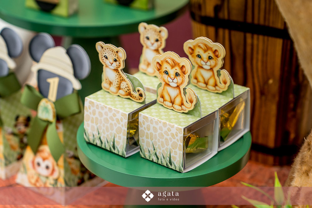 aniversaio de um ano-fotografo de familias-fotografo curitiba-aniversario safari-um aninho-festa safari-decoracao safari-festa de um ano menino-festa infantil-aniversario de crianca-aniversario infantil safari-festa no safari-um aninho festa