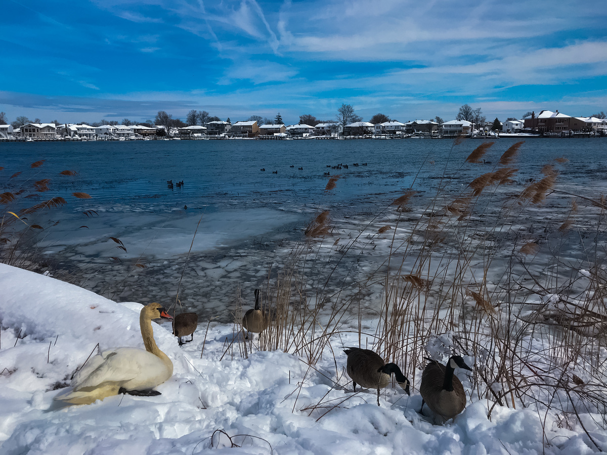 Merrick, Long Island, New York 2018