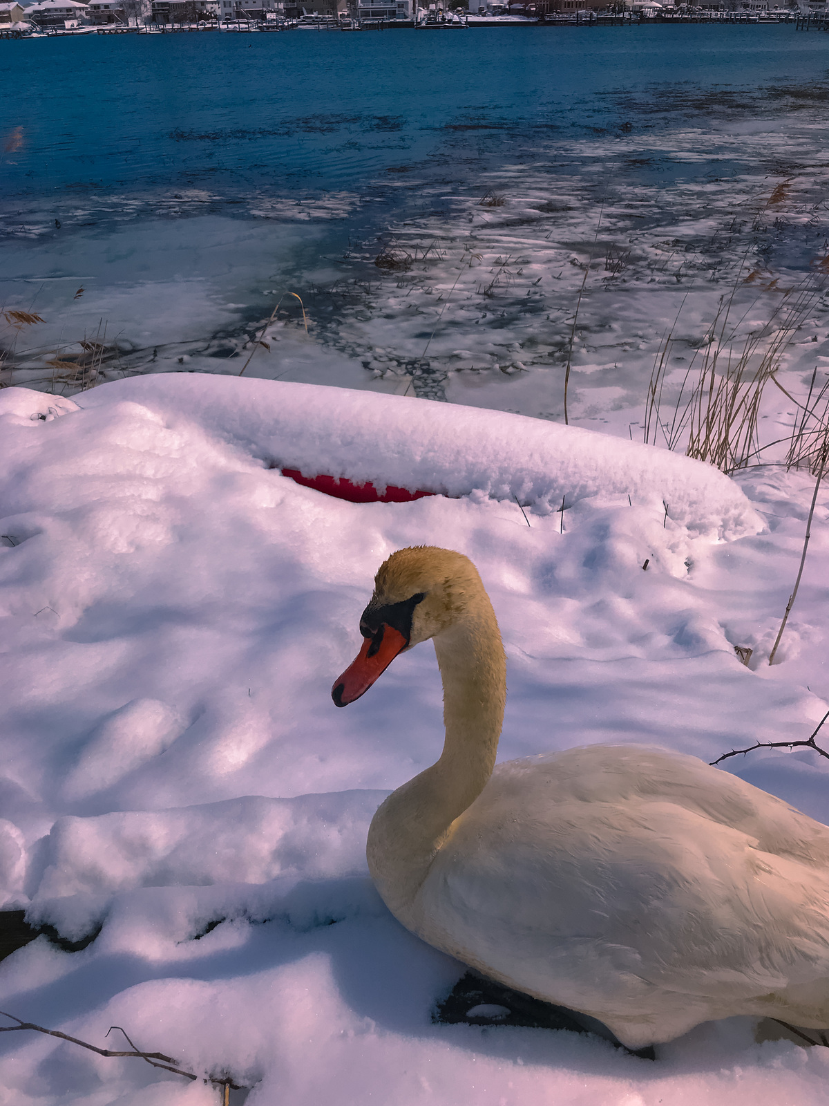 Merrick, Long Island, New York 2018