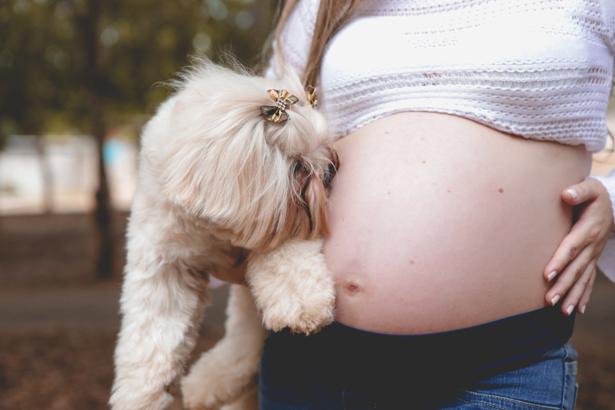 Ensaio de gestante - Fotografo em Sorriso MT - Laura e Rafael