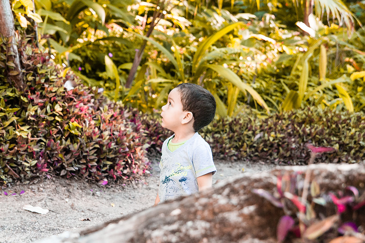 ensaio infantil do enzo no parque lage, jardim botânico, rj