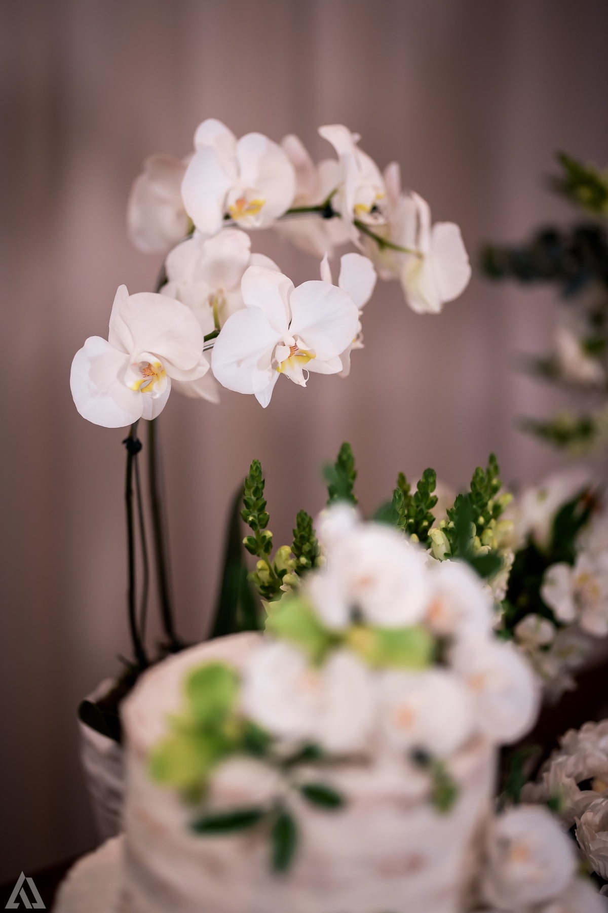 Wedding Casamento Buffet Making Off Decoração Cerimonialista Fotógrafo Vestido Noiva Noivo Camila Hoffmann Cerimonial Elimeire Assessoria de Evento Dani Vidal Vila Nova La Belle Maison Lena Buffet Casarão Penedo Diva Buffet Buquê Resende Penedo Itatiaia