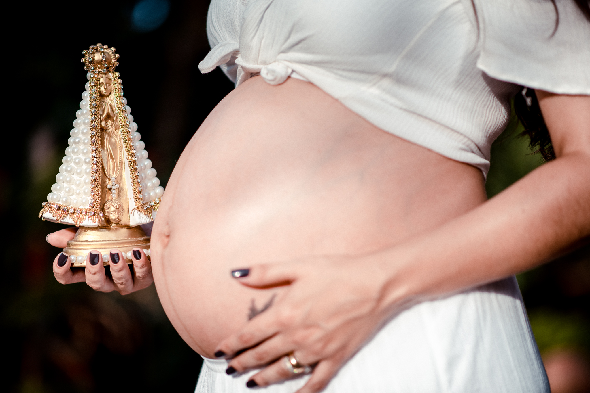 Ensaio Book Gestante Alex Jardim Fotografia Fotógrafo Resende Itatiaia Porto Real Quatis Barra Mansa Volta Redonda 
