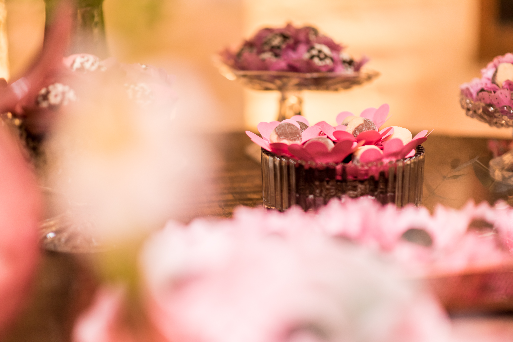 Alex Jardim Fotografia Fotógrafo Festa 15 Anos Debutante Resende Itatiaia Penedo Porto Real Quatis Barra Mansa Volta Redonda