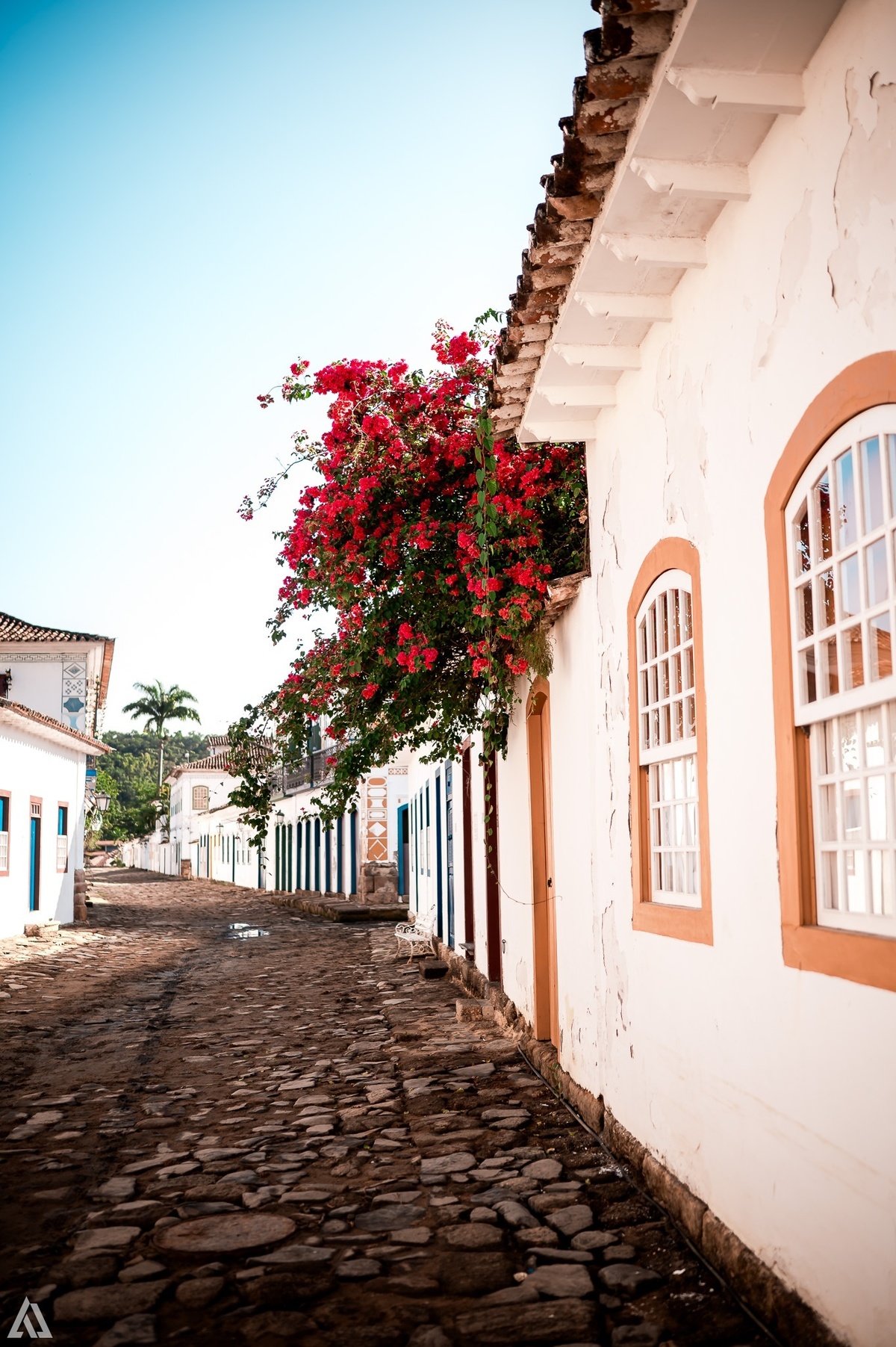 Wedding Casamento Buffet Making Off  Cerimonialista Fotógrafo Vestido Foto Noiva Camila Hoffmann Cerimonial Elimeire Dani Vidal La Belle Maison Lena Buffet Casarão Penedo Diva Buffet Buquê Resende Penedo Itatiaia 
