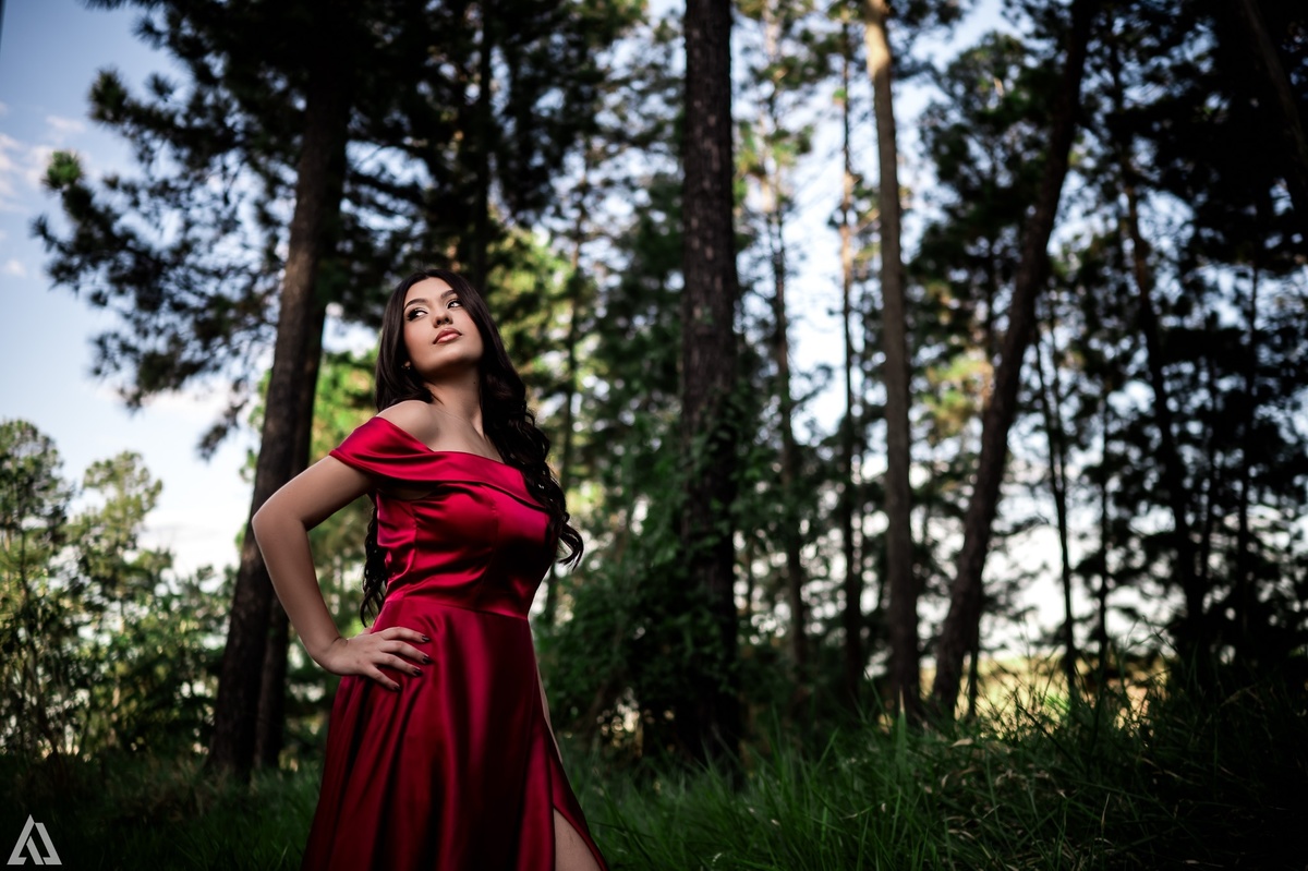 Ensaio Book Debutante 15 Anos XV Street Tumblr Alex Jardim Fotografia Fotógrafo Resende Itatiaia Penedo Barra Mansa Volta Redonda Rio de Janeiro Lena Buffet La Belle Maison Dani Vidal Camila Hoffmann Cerimonial Harry Potter
