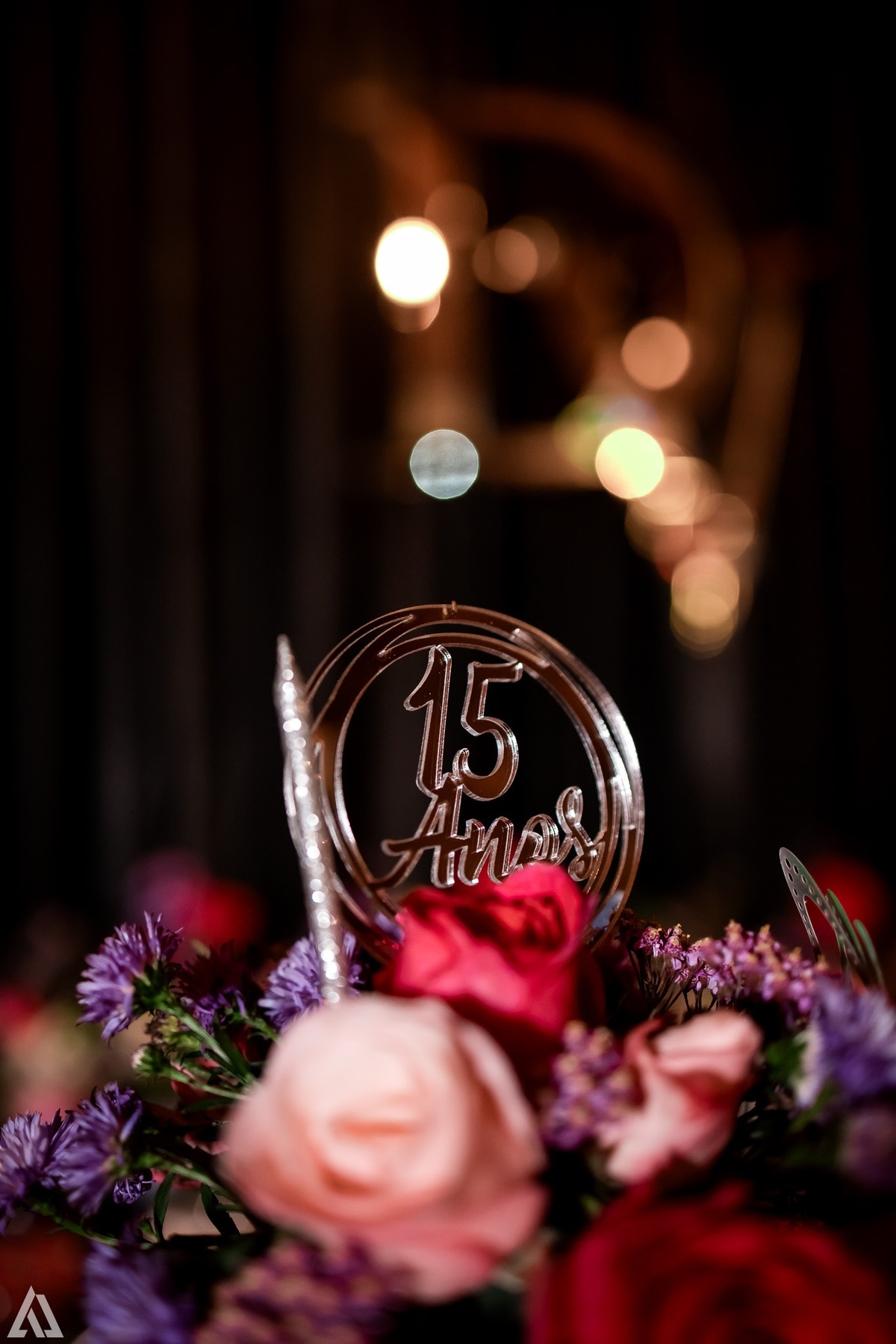Ensaio Festa Book Teen Debutante 15 Anos Alex Jardim Fotografia Fotógrafo Makink Off Resende Itatiaia Penedo Porto Real Quatis Barra Mansa Volta Redonda Lena Buffet La Belle Maison Estela Dani Vidal Alicia Oliveira Camila Hoffmann Cerimonial Maquiadora