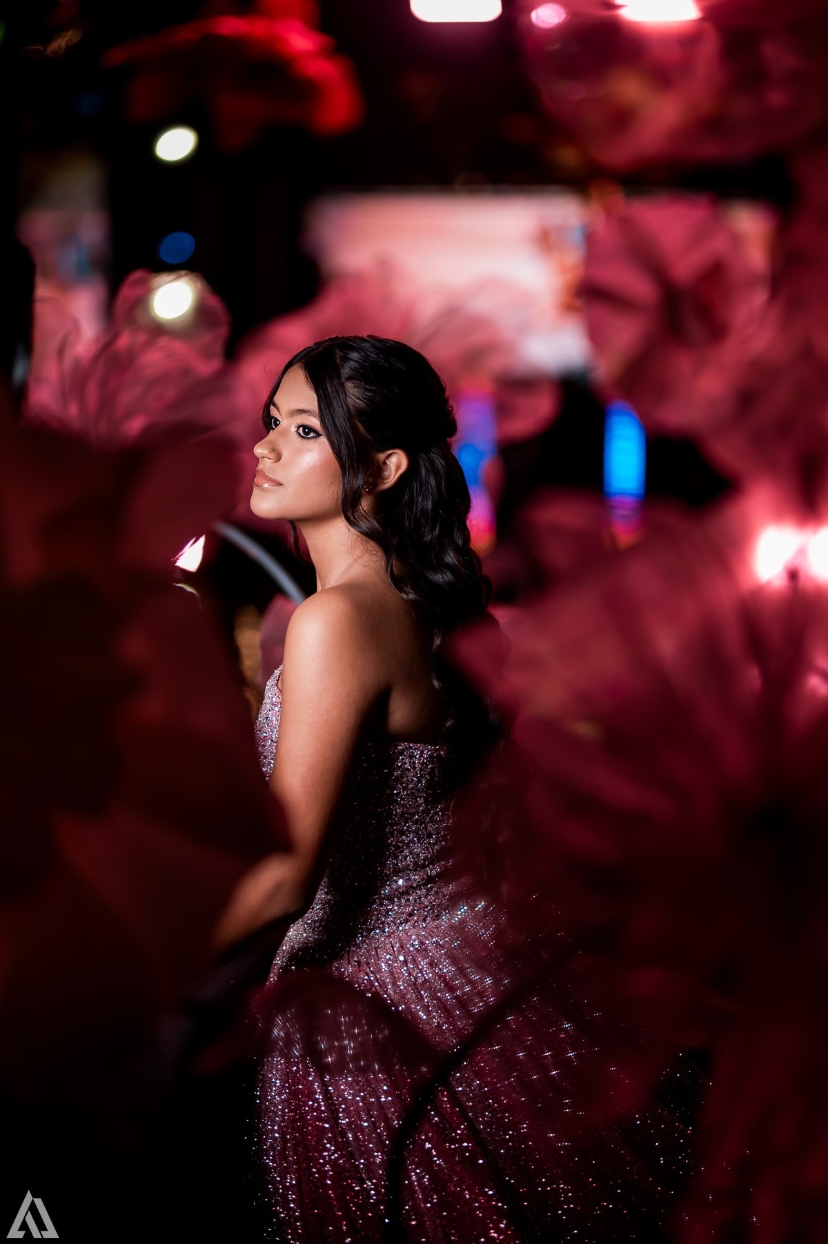 Ensaio Festa Book Teen Debutante 15 Anos Alex Jardim Fotografia Fotógrafo Makink Off Resende Itatiaia Penedo Porto Real Quatis Barra Mansa Volta Redonda Lena Buffet La Belle Maison Estela Dani Vidal Alicia Oliveira Camila Hoffmann Cerimonial Maquiadora