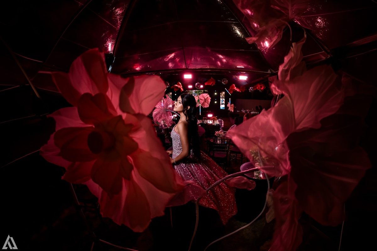 Ensaio Festa Book Teen Debutante 15 Anos Alex Jardim Fotografia Fotógrafo Makink Off Resende Itatiaia Penedo Porto Real Quatis Barra Mansa Volta Redonda Lena Buffet La Belle Maison Estela Dani Vidal Alicia Oliveira Camila Hoffmann Cerimonial Maquiadora