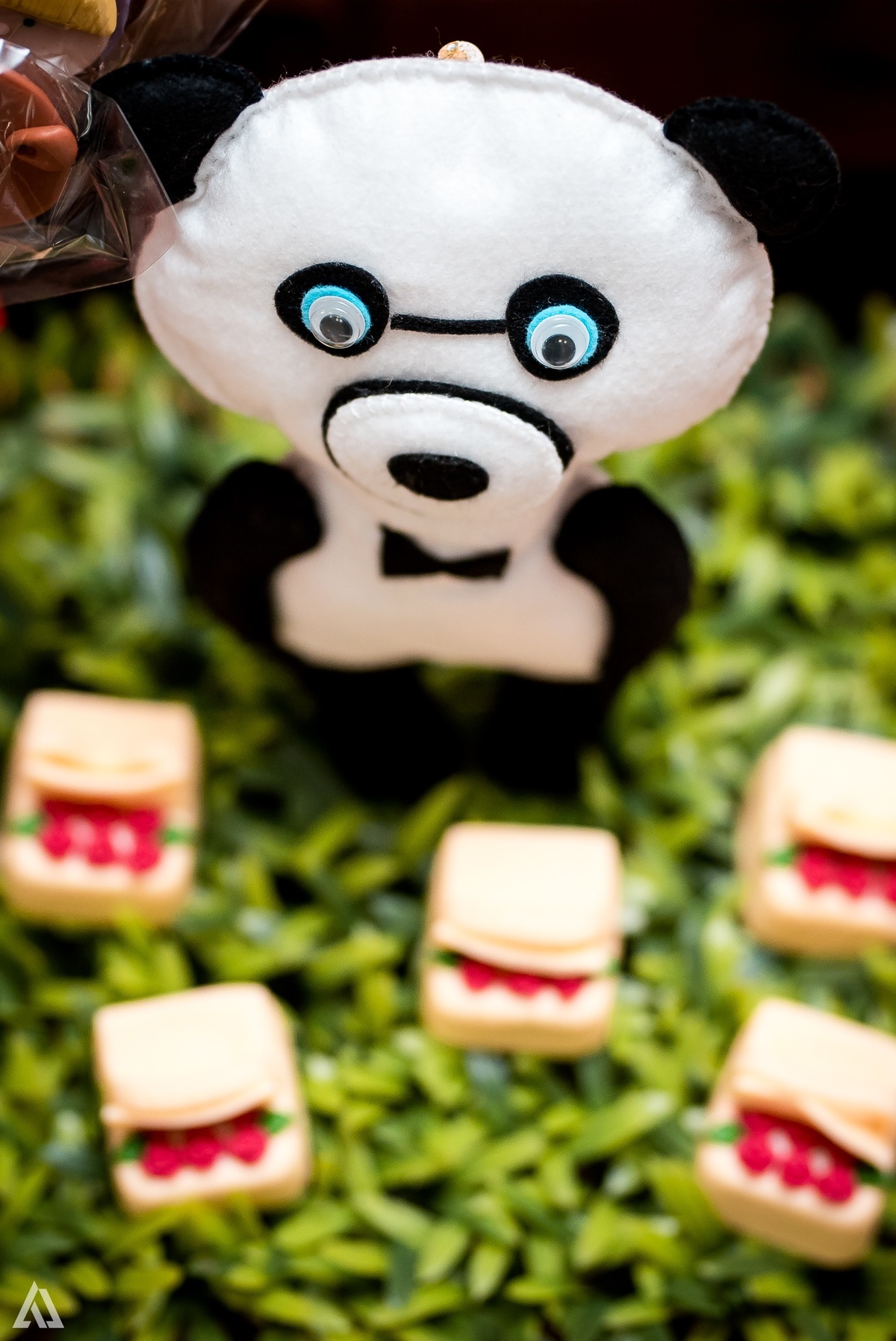 Aniversário Infantil Alex Jardim Fotografia Masha e o Urso Fotógrafo Resende Itatiaia Porto Real Quatis Barra Mansa Volta Redonda 