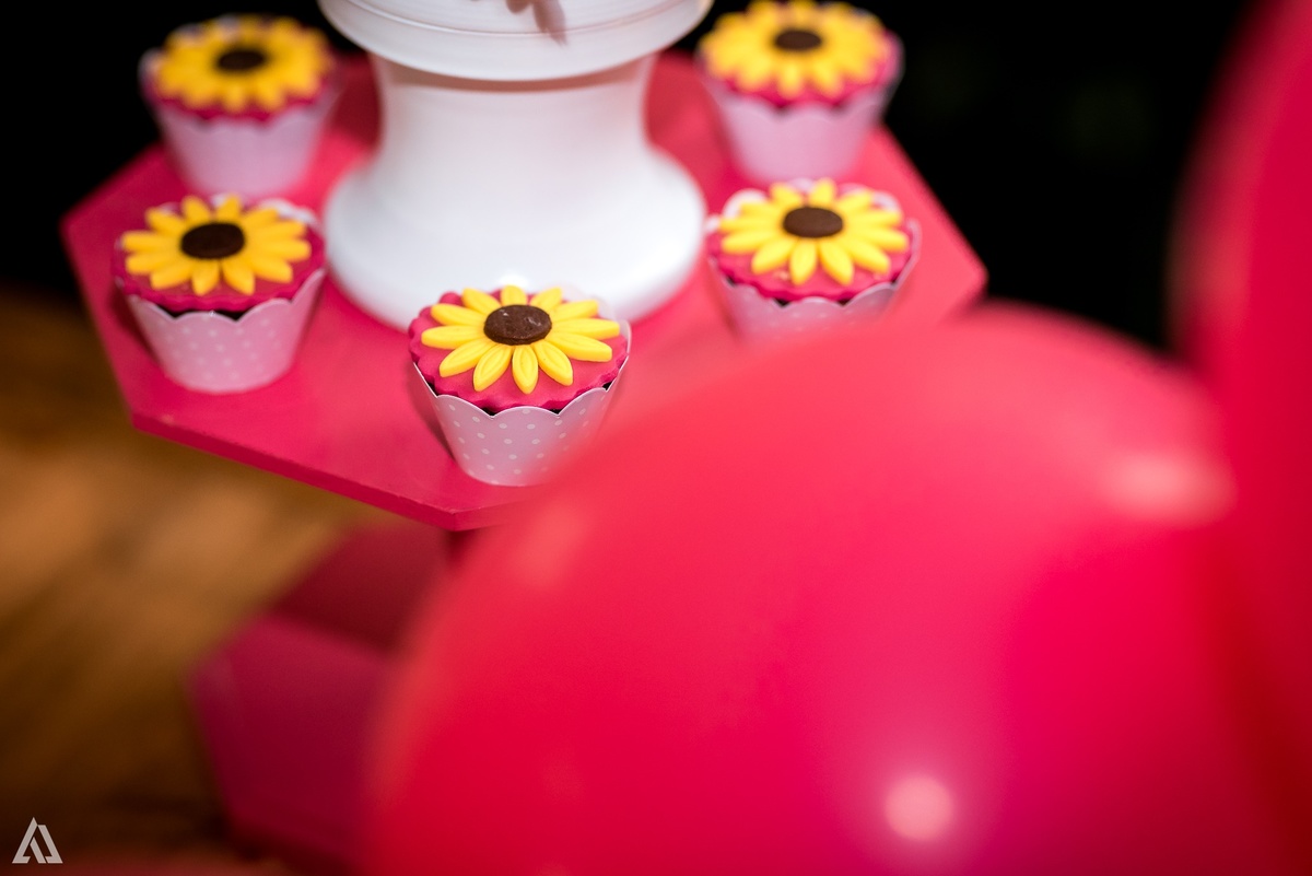 Aniversário Infantil Alex Jardim Fotografia Masha e o Urso Fotógrafo Resende Itatiaia Porto Real Quatis Barra Mansa Volta Redonda 