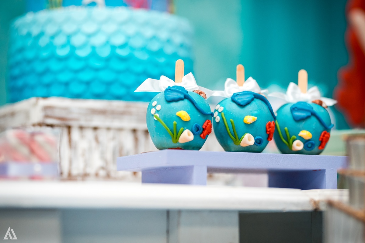 Aniversário Infantil Alex Jardim Fotografia Sereia Fotógrafo Resende Itatiaia Porto Real Quatis Barra Mansa Volta Redonda 