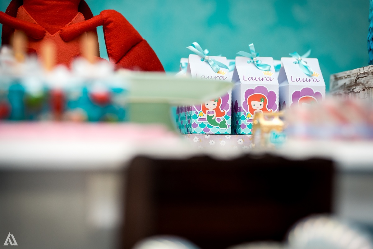 Aniversário Infantil Alex Jardim Fotografia Sereia Fotógrafo Resende Itatiaia Porto Real Quatis Barra Mansa Volta Redonda 