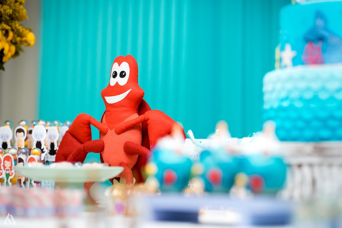 Aniversário Infantil Alex Jardim Fotografia Sereia Fotógrafo Resende Itatiaia Porto Real Quatis Barra Mansa Volta Redonda 