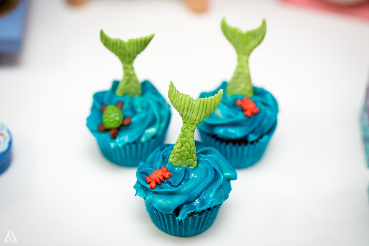 Aniversário Infantil Alex Jardim Fotografia Sereia Fotógrafo Resende Itatiaia Porto Real Quatis Barra Mansa Volta Redonda 