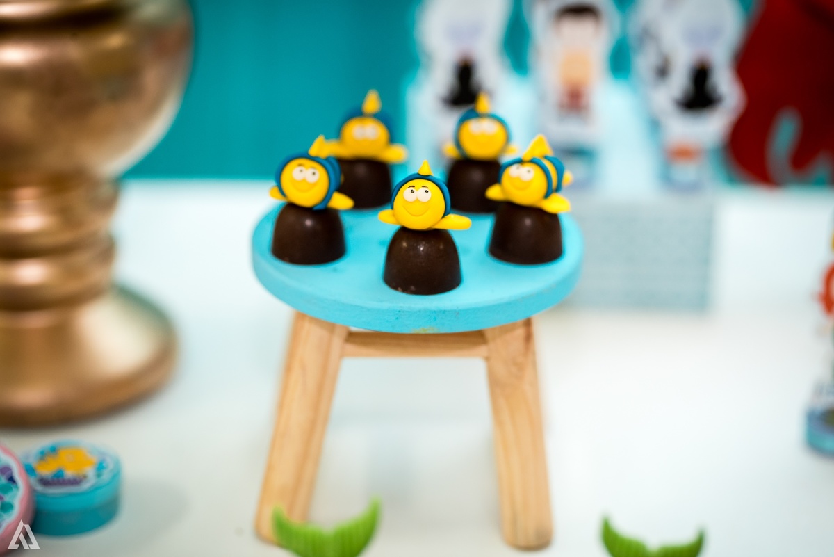 Aniversário Infantil Alex Jardim Fotografia Sereia Fotógrafo Resende Itatiaia Porto Real Quatis Barra Mansa Volta Redonda 