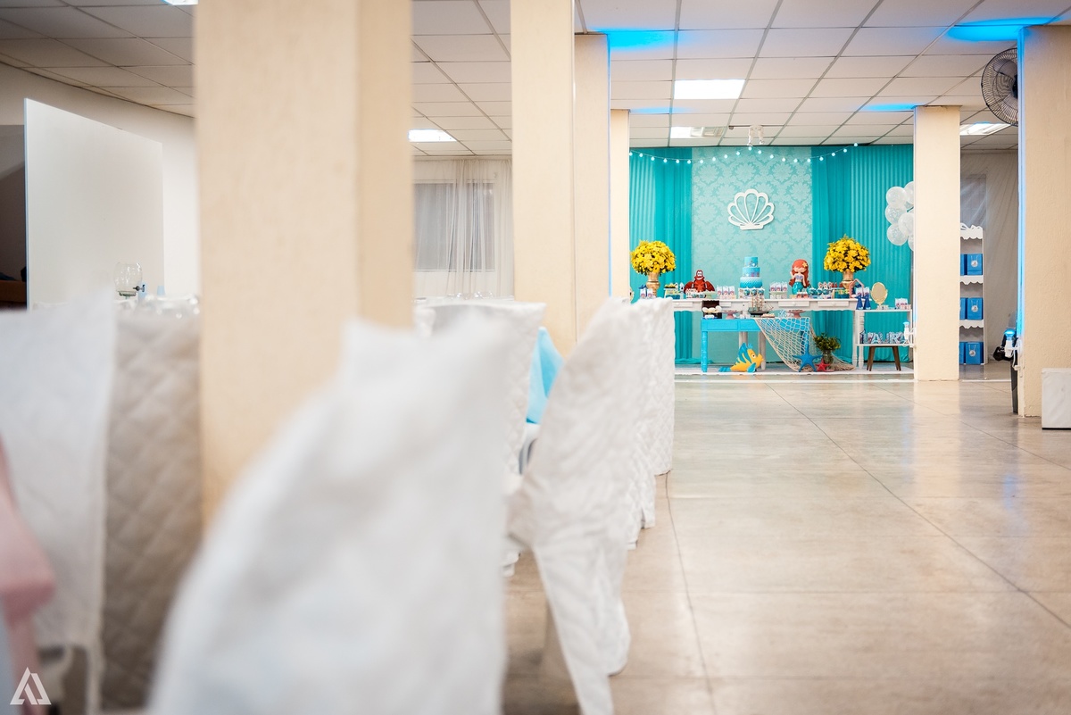 Aniversário Infantil Alex Jardim Fotografia Sereia Fotógrafo Resende Itatiaia Porto Real Quatis Barra Mansa Volta Redonda 