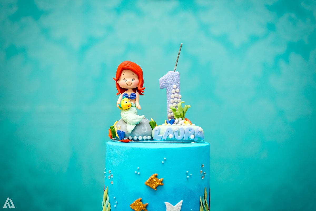 Aniversário Infantil Alex Jardim Fotografia Sereia Fotógrafo Resende Itatiaia Porto Real Quatis Barra Mansa Volta Redonda 