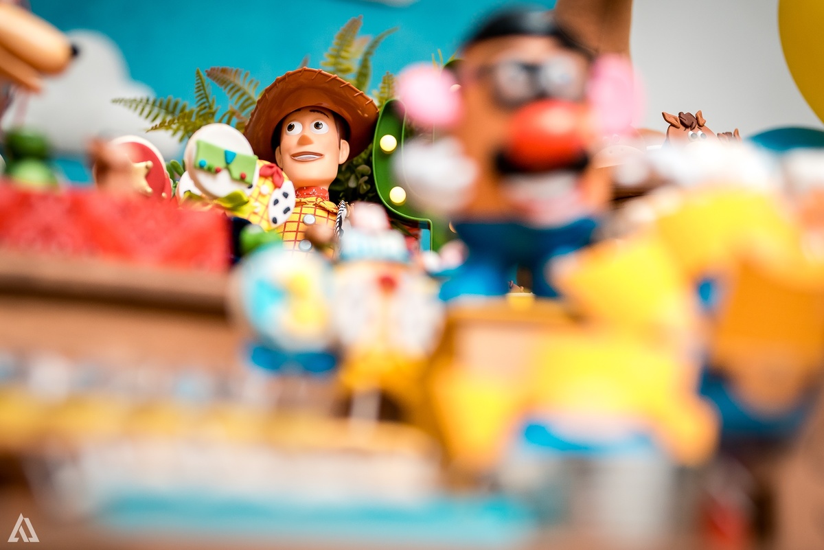 Aniversário Infantil Alex Jardim Fotografia Toy Story Fotógrafo Resende Itatiaia Porto Real Quatis Barra Mansa Volta Redonda 