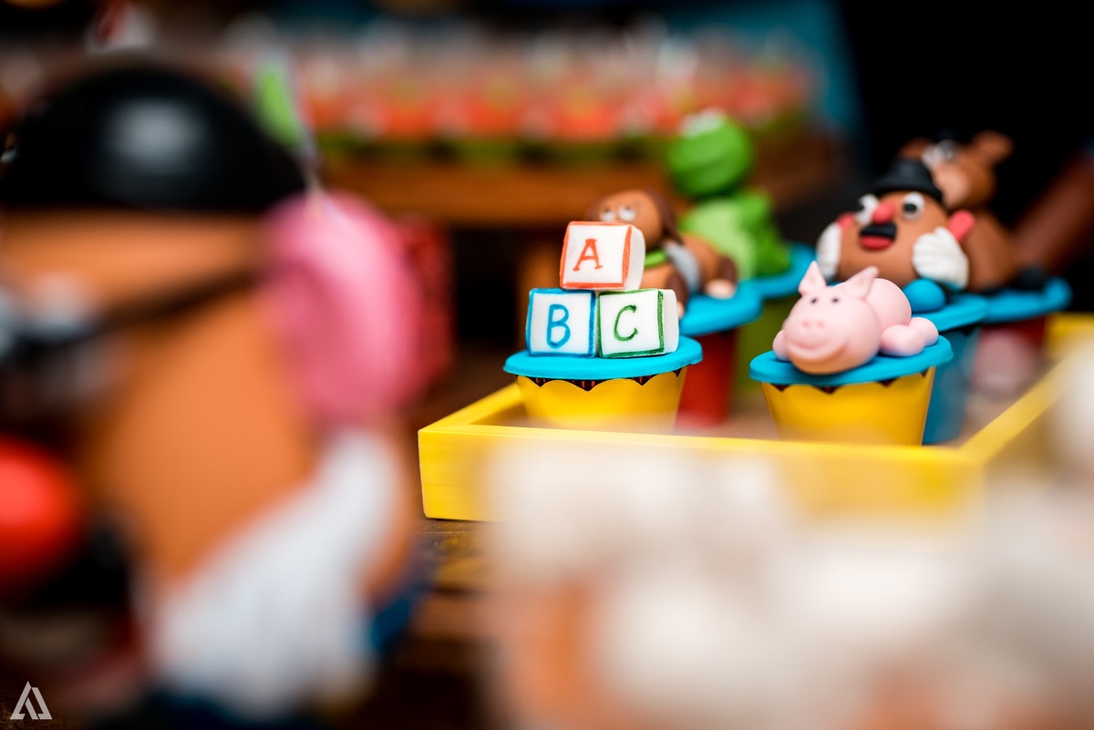 Aniversário Infantil Alex Jardim Fotografia Toy Story Fotógrafo Resende Itatiaia Porto Real Quatis Barra Mansa Volta Redonda 