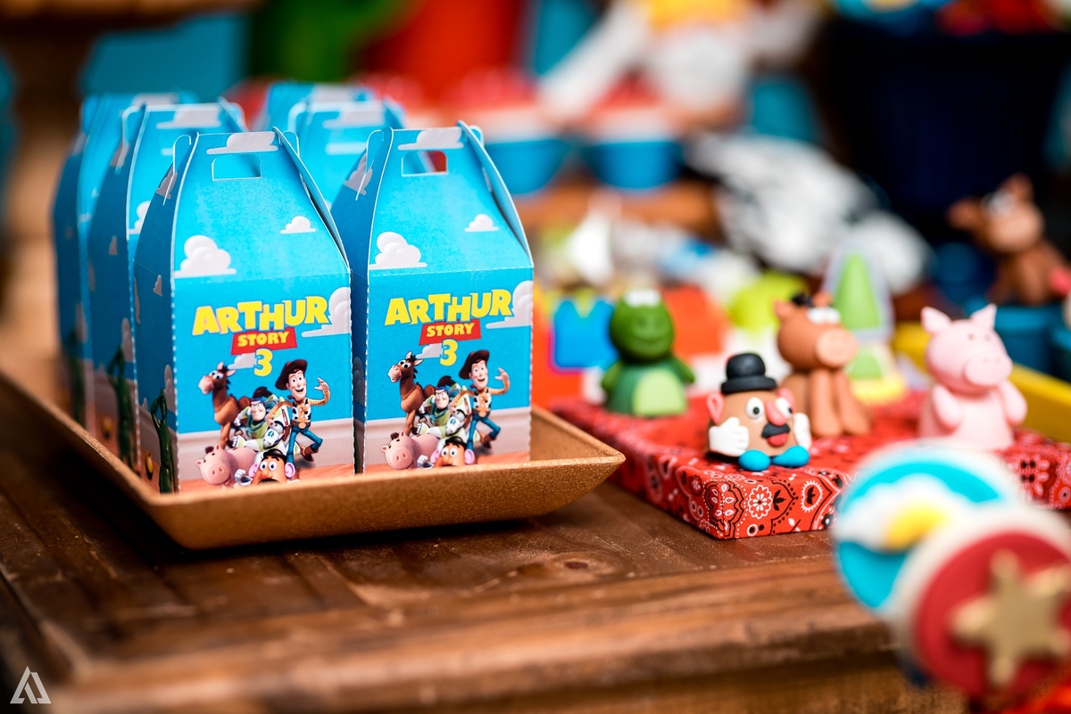 Aniversário Infantil Alex Jardim Fotografia Toy Story Fotógrafo Resende Itatiaia Porto Real Quatis Barra Mansa Volta Redonda 