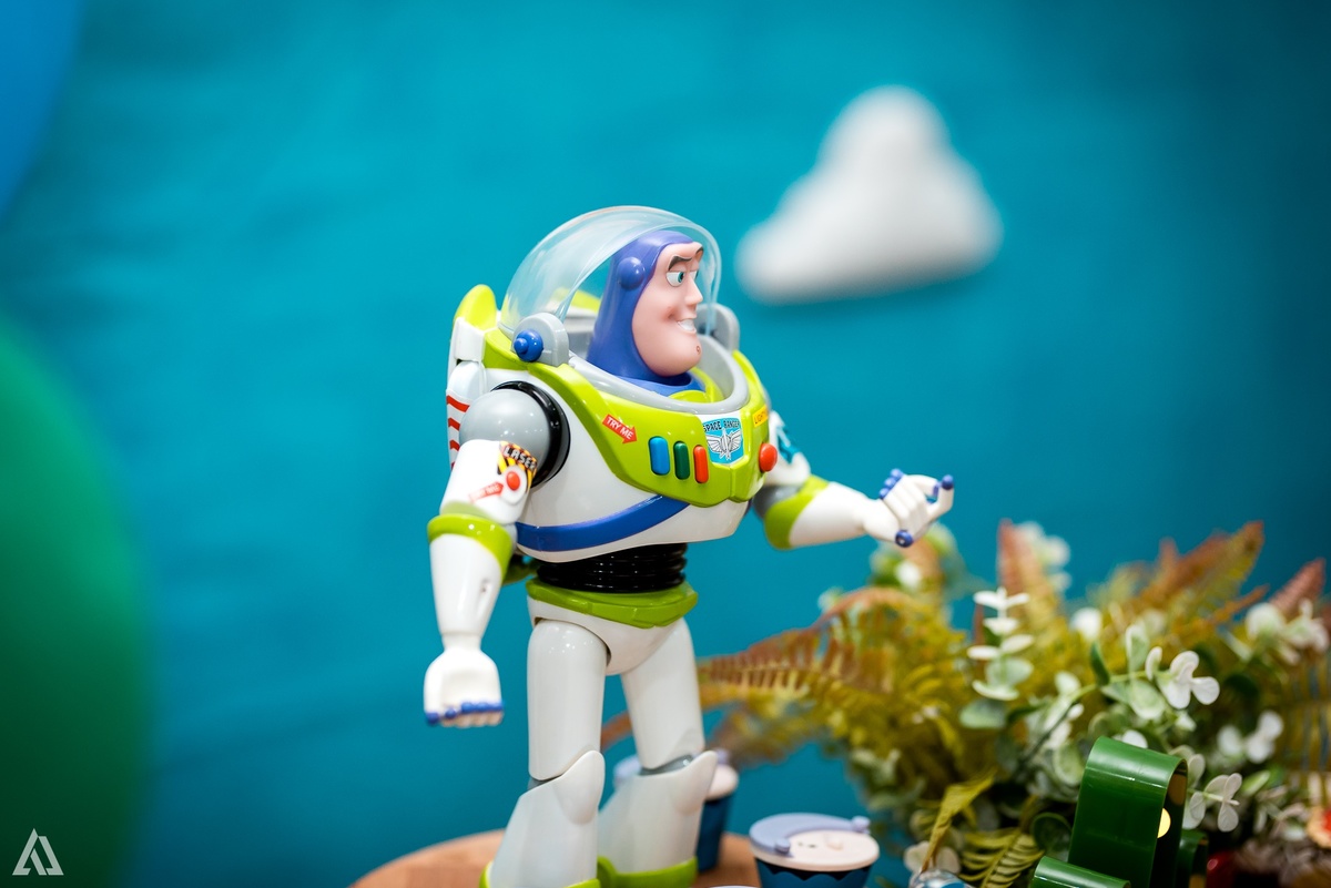 Aniversário Infantil Alex Jardim Fotografia Toy Story Fotógrafo Resende Itatiaia Porto Real Quatis Barra Mansa Volta Redonda 